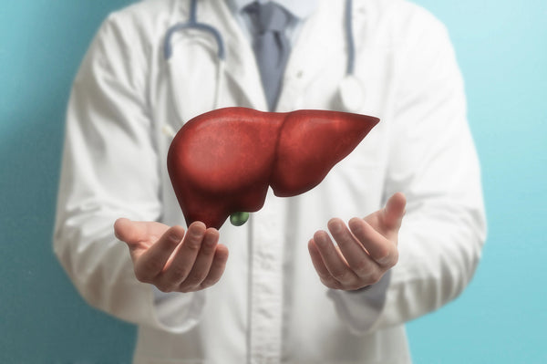 Best Supplements for Liver Support