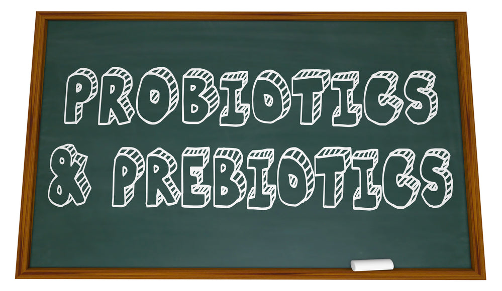 Prebiotics vs Probiotics: What's the Difference?